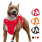 Harnais pour chien Truelove rembourré en mesh respirant pour les activités sportives en extérieur