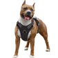 Harnais pour chien Truelove rembourré en mesh respirant pour les activités sportives en extérieur