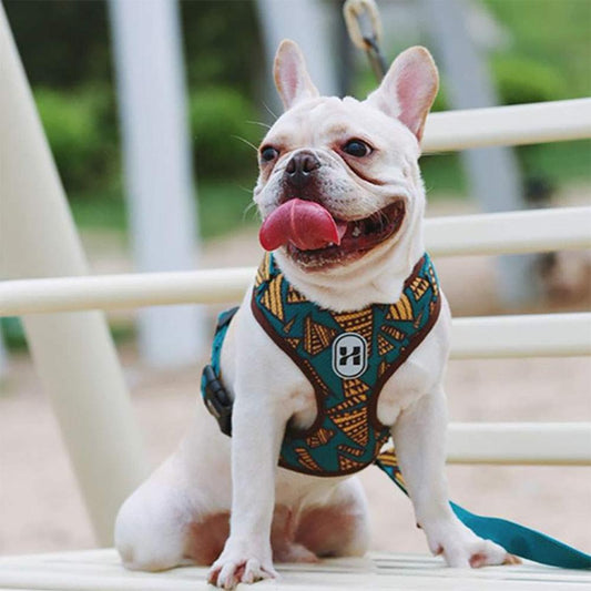 Harnais pour chien et chat imprimé French Bulldog - Pour les petits chiens