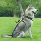 Harnais pour chien réglable en tissu