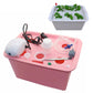 Kit de culture hydroponique à 6 trous pour jardin intérieur