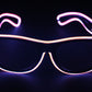 Lunettes LED EL Wire | AOMshop