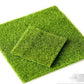 Mini clôture fée jardin barrière en bois Lawn 30x30cm