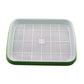 Plateau hydroponique à double couche pour la culture de pousses de soja Green