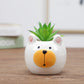 "Pot de fleurs mignon animal"