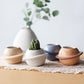 "Pot en céramique pour plantes succulentes - Décoration de balcon et de bureau"