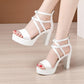 Sandales à talons blocs et plateforme de grande taille 32-43 pour femmes White