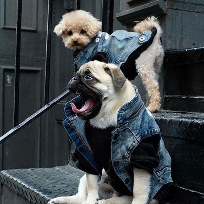 Veste en Jean pour Chien de Petite Taille Blue