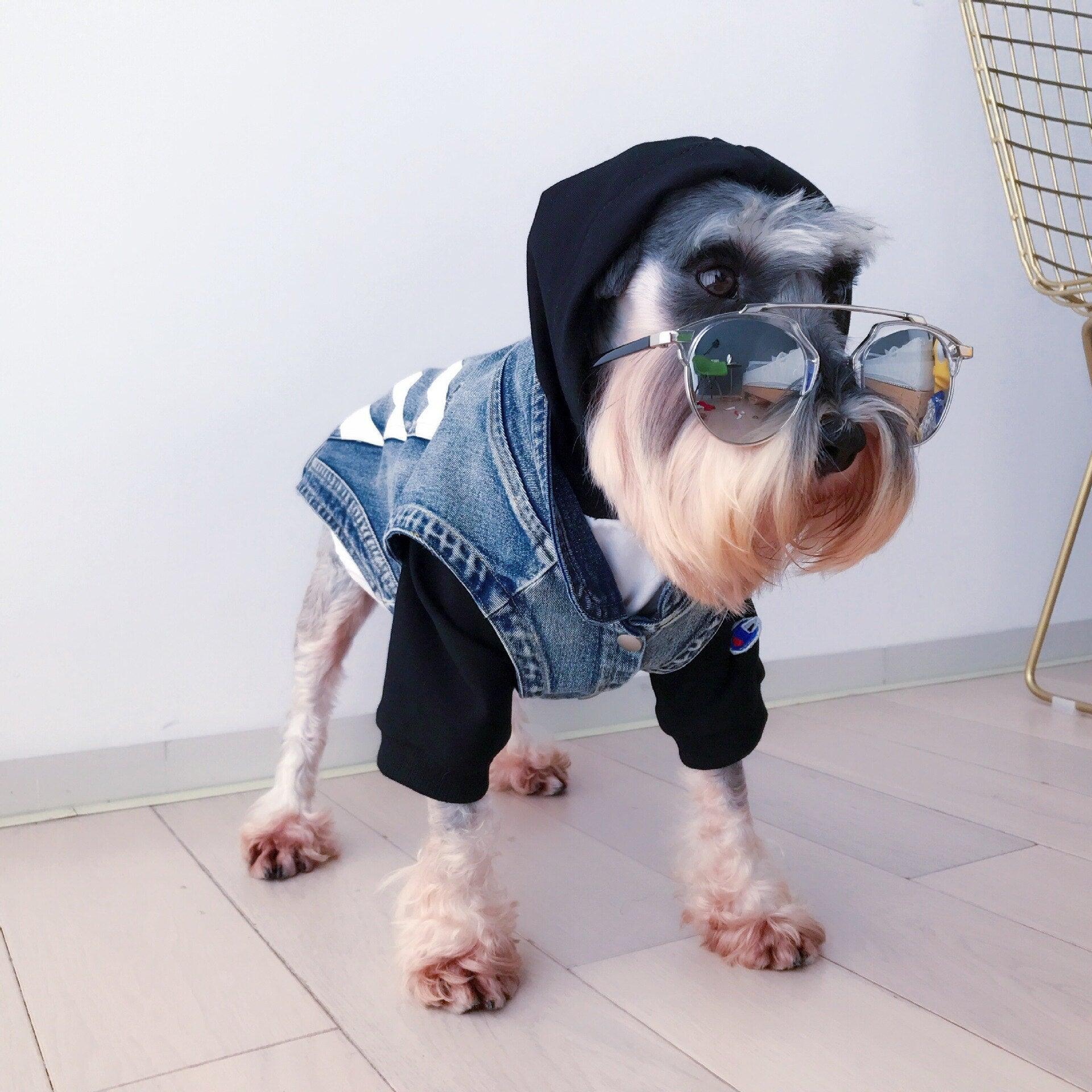 Veste en Jean pour Chien de Petite Taille